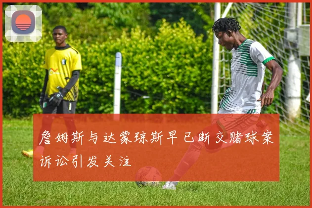 詹姆斯与达蒙琼斯早已断交赌球案诉讼引发关注