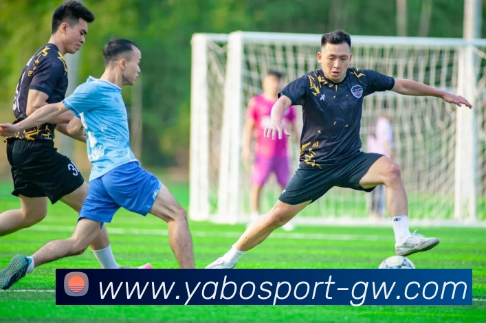 多媒体互动体验